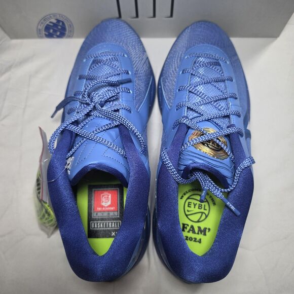 Nike Giannis Freak 6 Academy P EYBL Fam  Mens Size 13 Blue Basketball HQ3135-400 main image 4